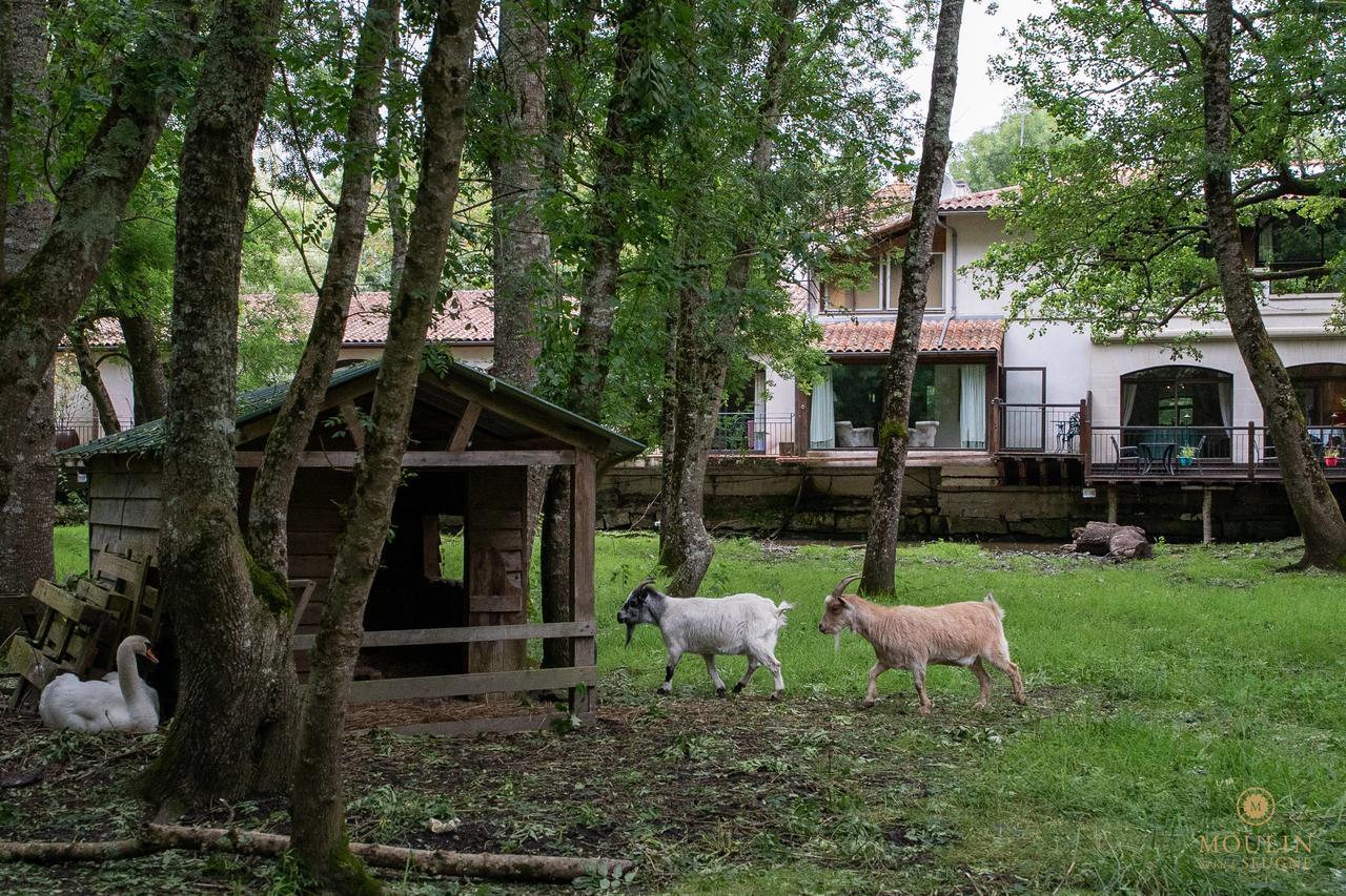 Moulin Du Val De Seugne Hotel Mosnac  Luaran gambar